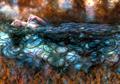Top Selling Artwork - Ophelia