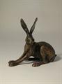 Hare - crouching
