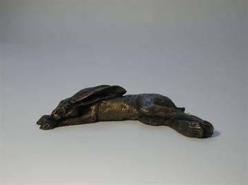 Hare - Lying Down By Paul Jenkins