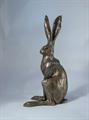 Sitting Hare Medium